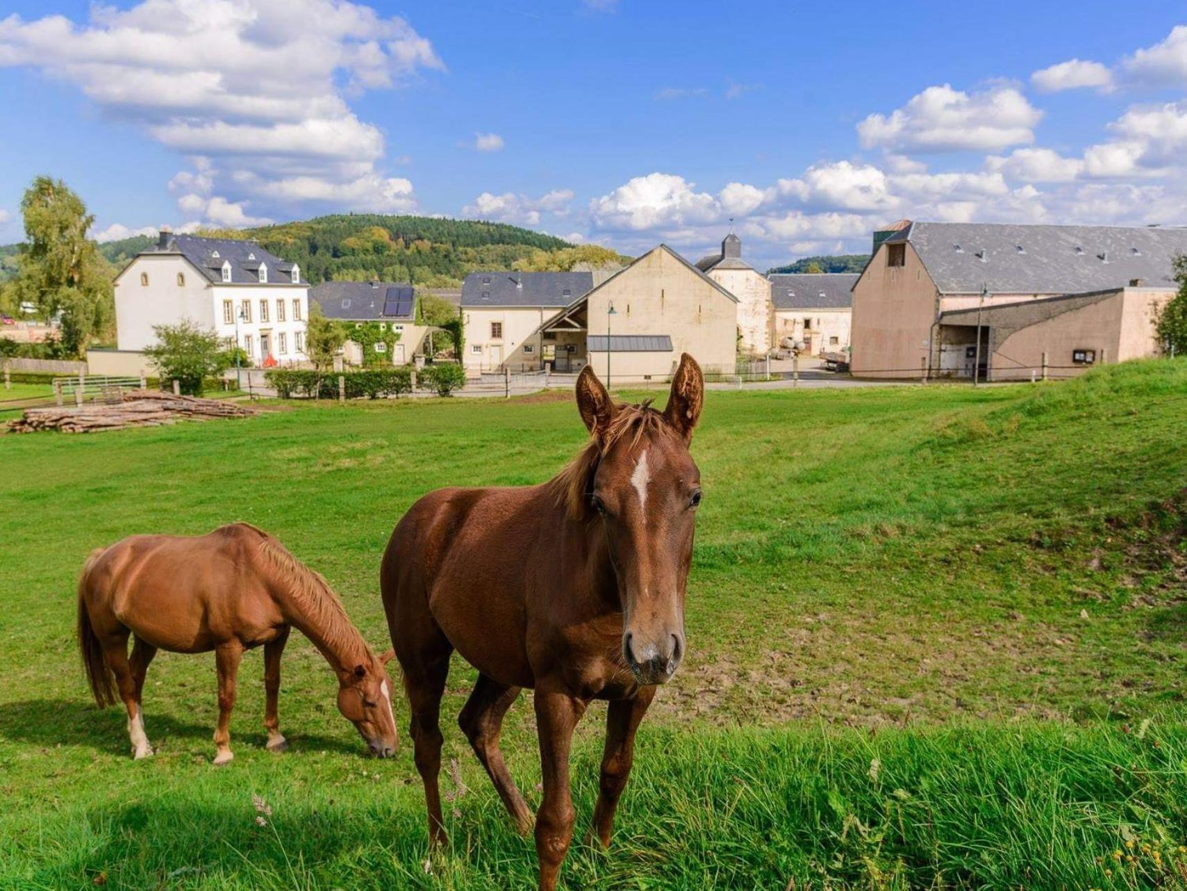 Cottage House Weyer Horse&Groom Room Dış mekan fotoğraf